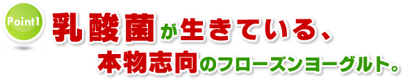 Point1 乳酸菌が生きている、本物志向のフローズンヨーグルト。
